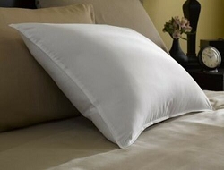STANDARD, Trillium™ Pillow by Restful Nights®, T230, 100% cotton cover, price per pillow (SOLD OUT)
